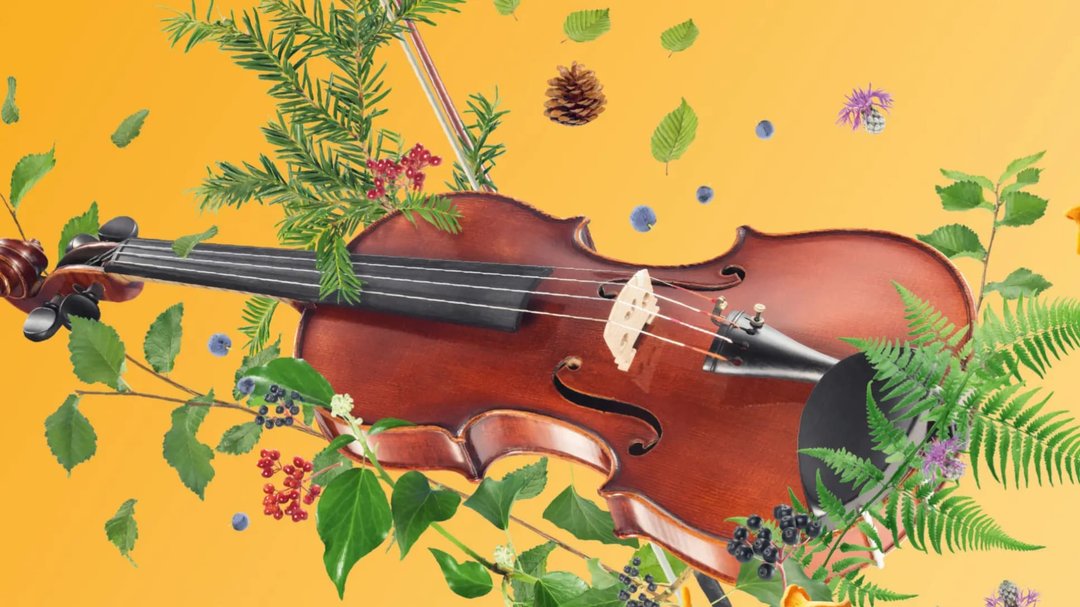 Affiche : Midi-concerts